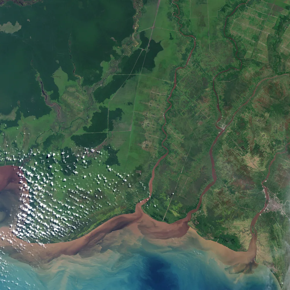 Landsat view of forest and land-use patterns in Kalimantan