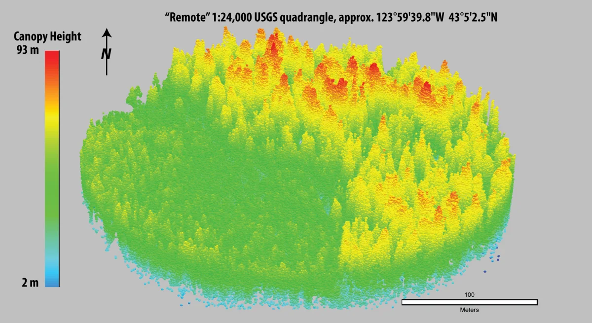 LiDAR point cloud showing forest canopy height
